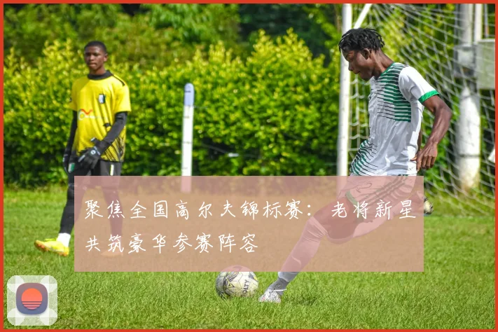 聚焦全国高尔夫锦标赛：老将新星共筑豪华参赛阵容