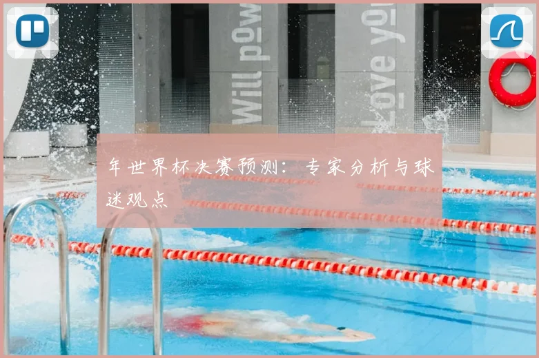 年世界杯决赛预测：专家分析与球迷观点