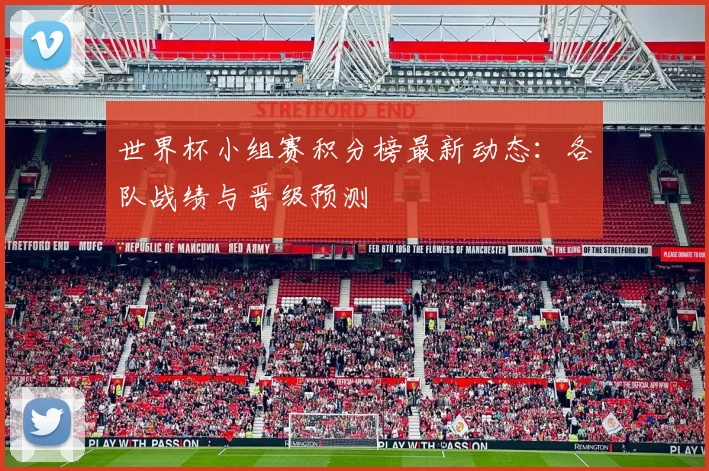 世界杯小组赛积分榜最新动态：各队战绩与晋级预测