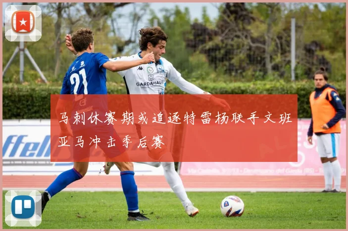 马刺休赛期或追逐特雷杨联手文班亚马冲击季后赛