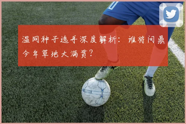 温网种子选手深度解析：谁将问鼎今年草地大满贯？