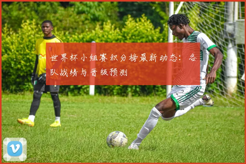 世界杯小组赛积分榜最新动态：各队战绩与晋级预测
